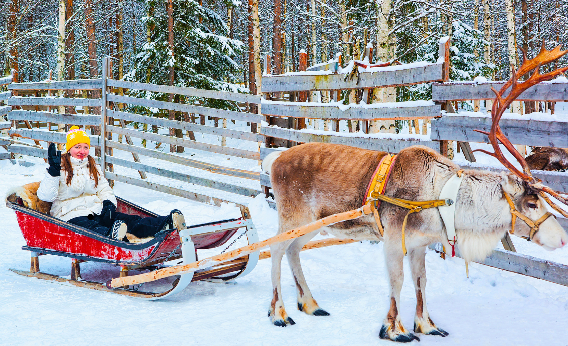 Rovaniemi vacanta